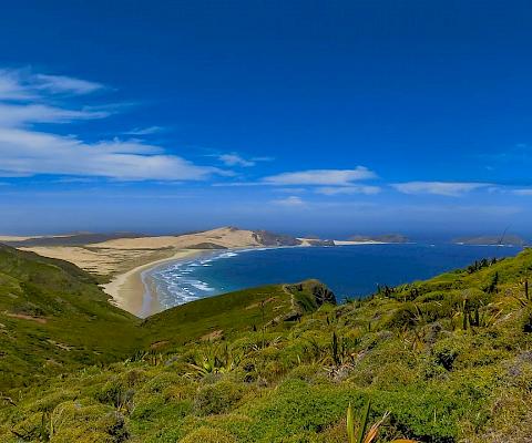 Cours d'anglais pour étudiants à Auckland